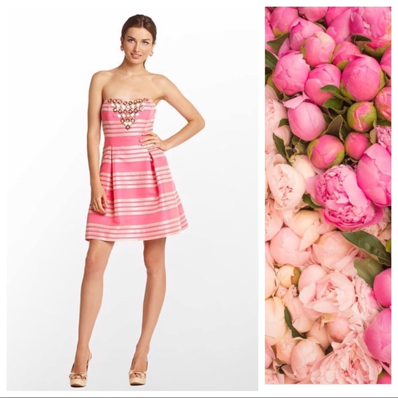 Lilly Pulitzer Dresses & Skirts - Lilly Pulitzer Sami-Ryan Dress Hotty Pink Sz 2 EUC